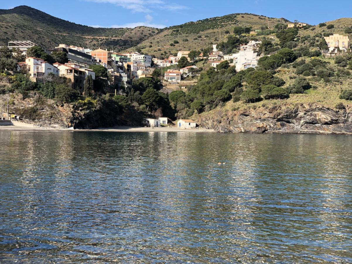 Piso En La Costa Brava Y Al Inicio Del Pirineo Apartment Portbou Ngoại thất bức ảnh